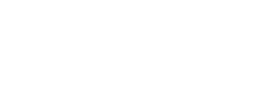Bulldog Storage System